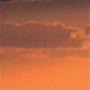 Meet your Posher, Huston